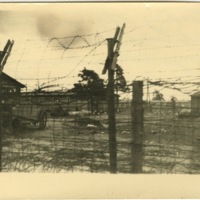 C. Leithoff-Belsen 13 (Front).jpeg