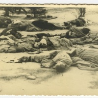 Concentration Camp Postcard (GRAPHIC)