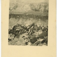 Bergen-Belsen Concentration Camp Photograph 3 (GRAPHIC)